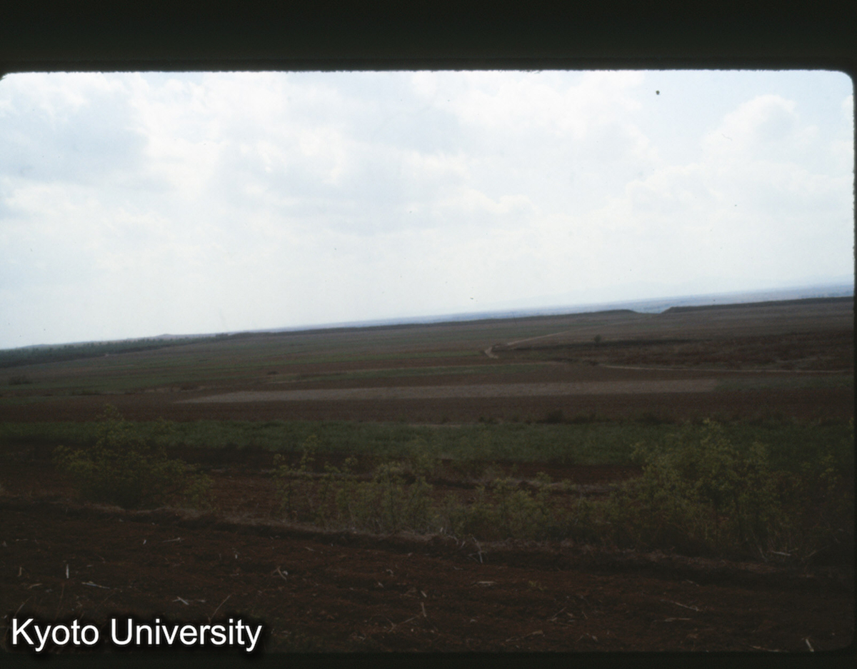 400_趙王城 西城龍台より 城墻 (1)