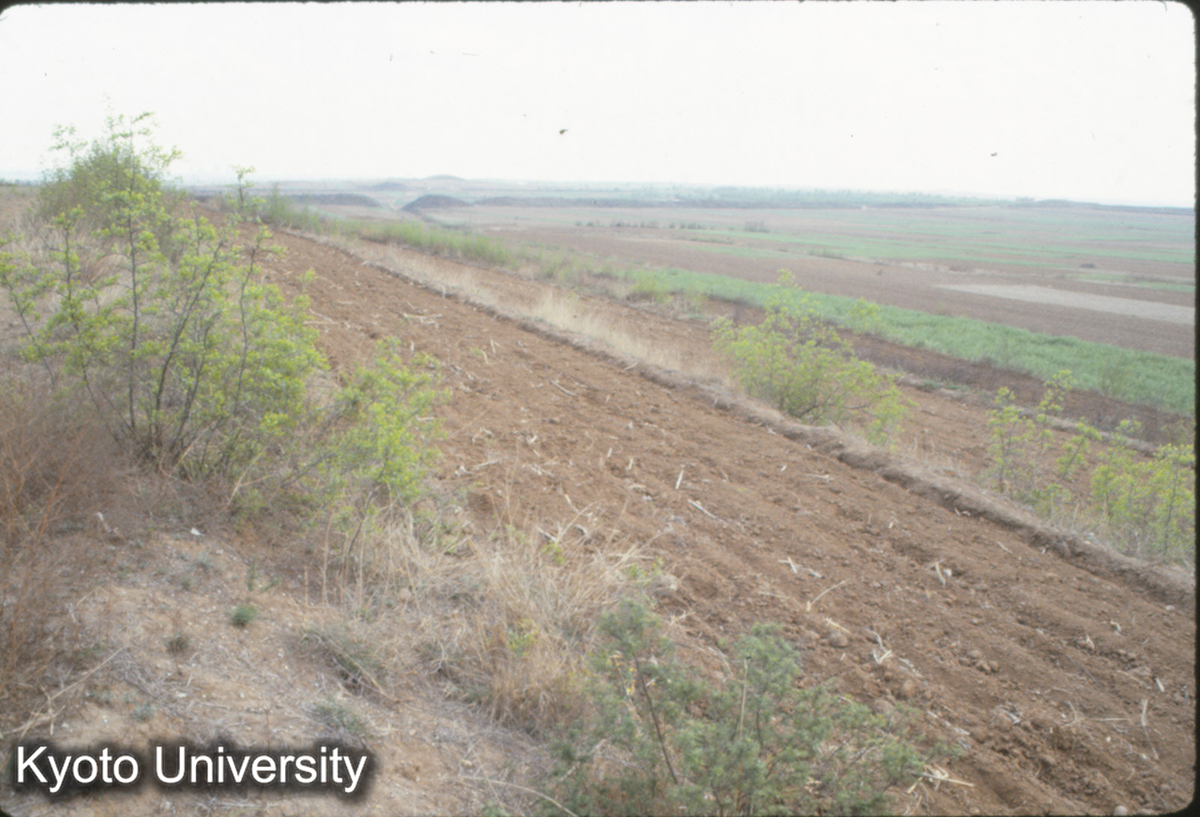 401_趙王城西城 城墻 (1)