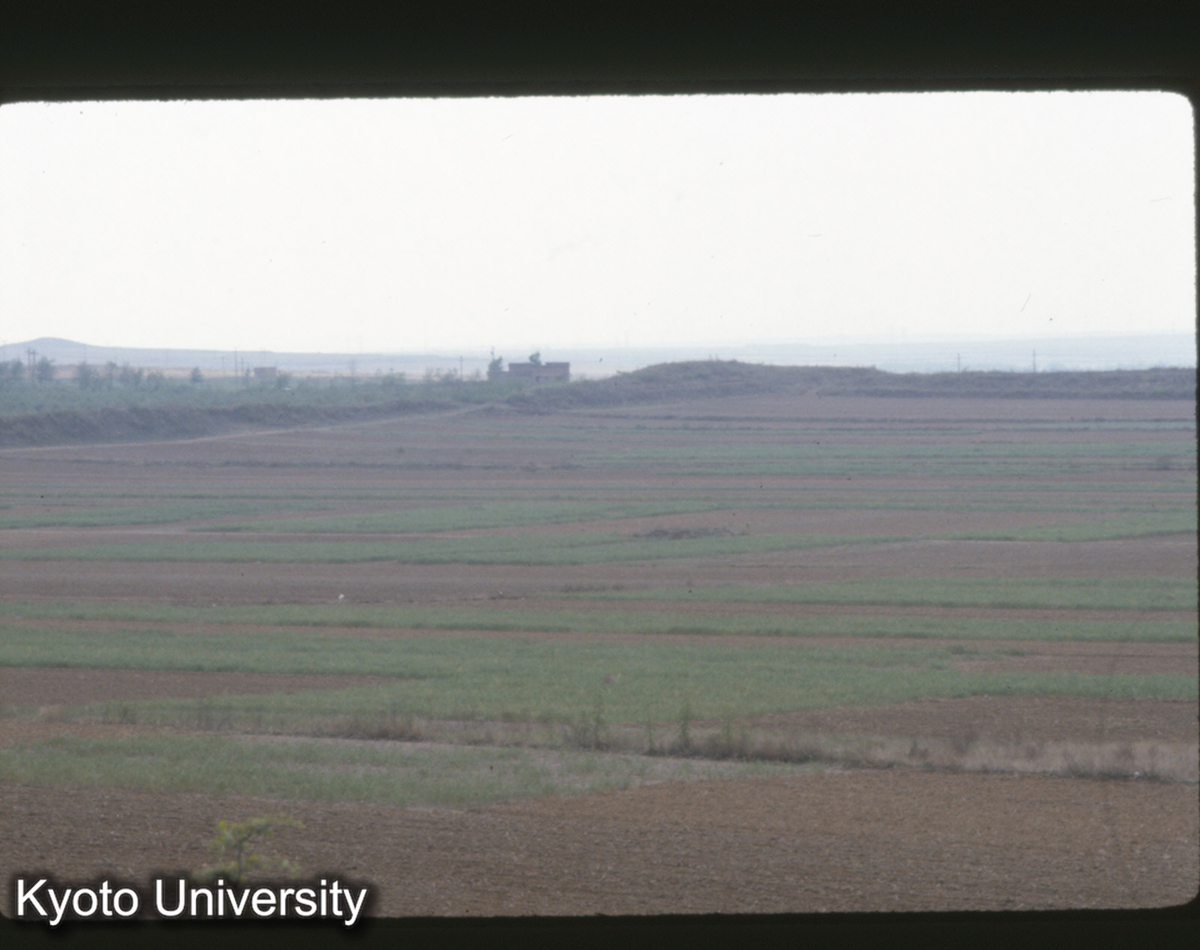 403_趙王城西城 (1)