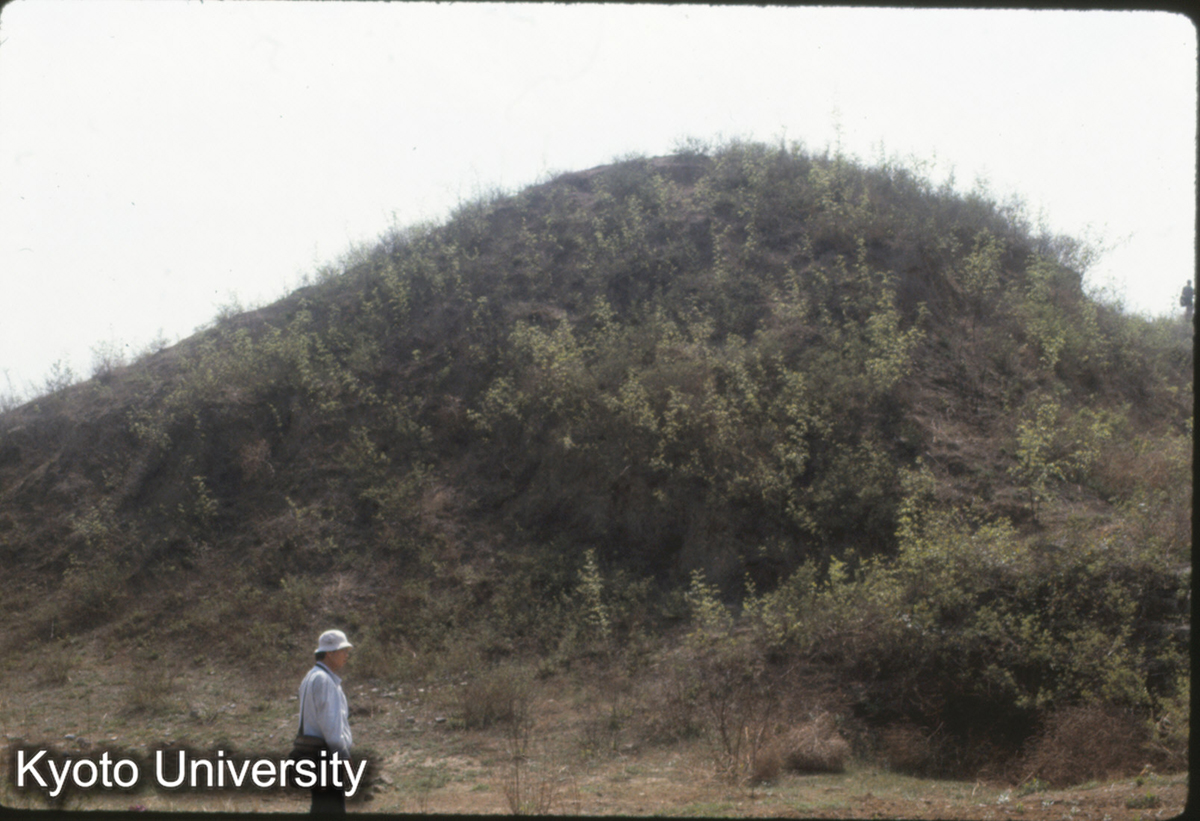 408_趙王城西城 南城墻 東門・門洞部欠口（東より見る） (1)