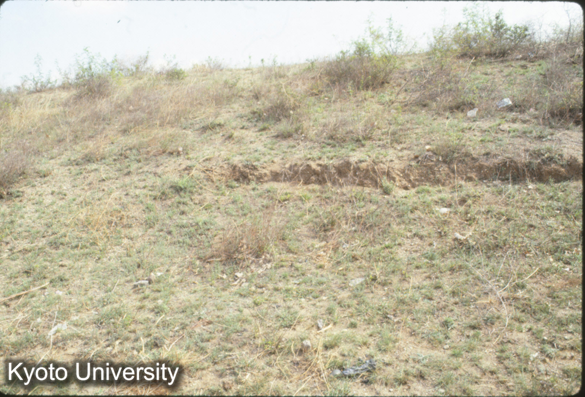 412_趙王城西城 南城墻 西門西寄り（37地点）段層"舗瓦"残欠 (1)