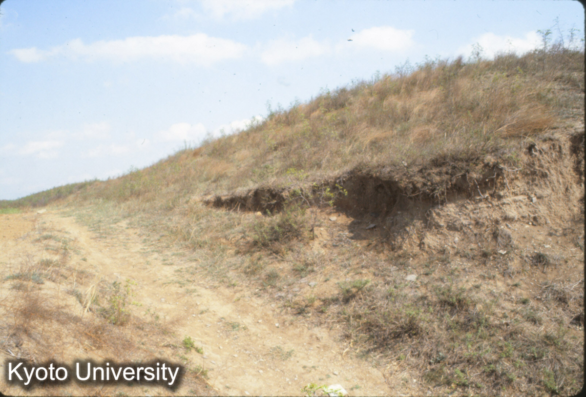 418_趙王城 城墻 (1)