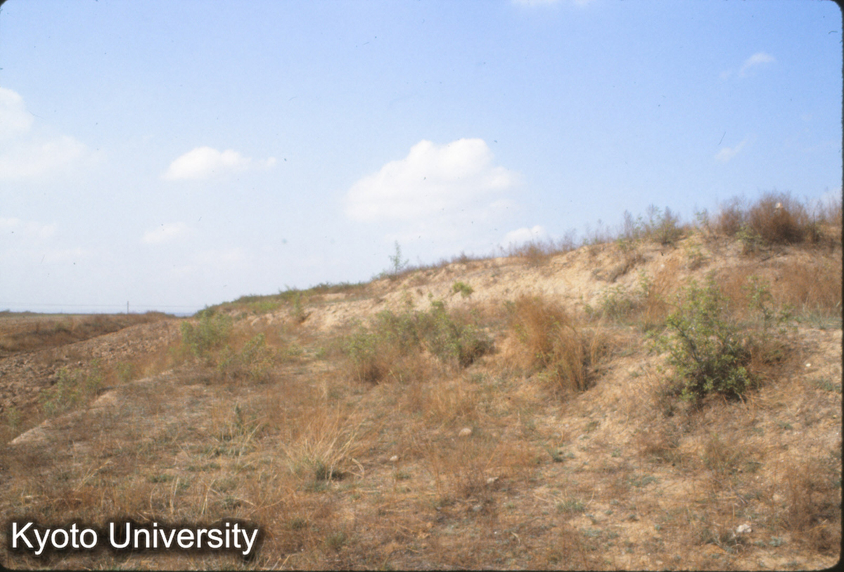 419_趙王城 城墻 (1)