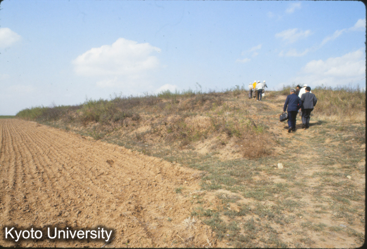 420_趙王城 城墻 (1)