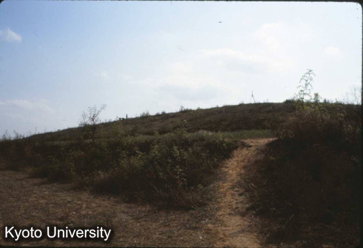 422_趙王城西城 (1)