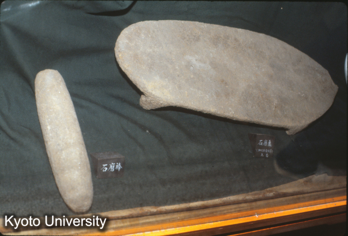 423_磁山文化：石磨棒・盤（サドルカーン）邯鄲展覧館_87.5.2 (1)