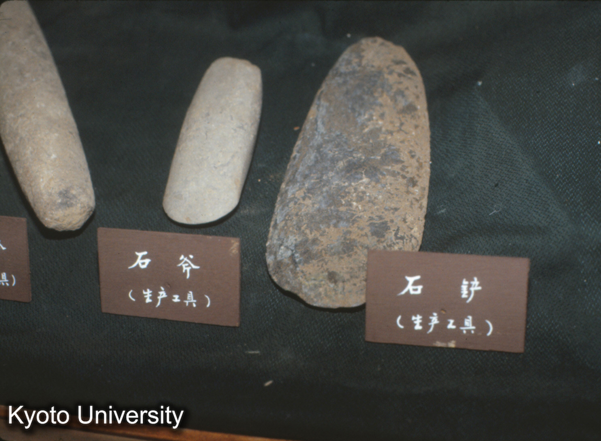 425_（磁山文化） 石斧・石鏟 邯鄲展覧館 (1)