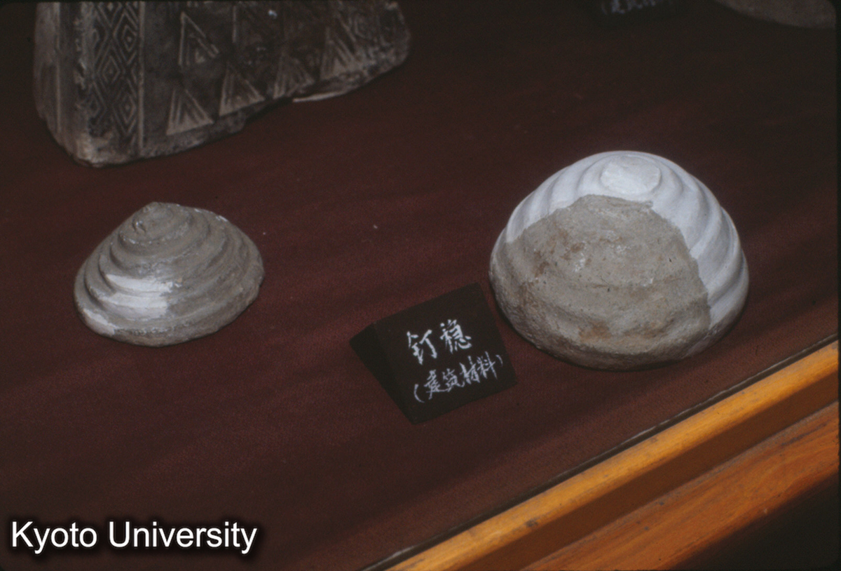 431_趙王城 城墻「釘穏（隠?）」 邯鄲展覧館 (1)