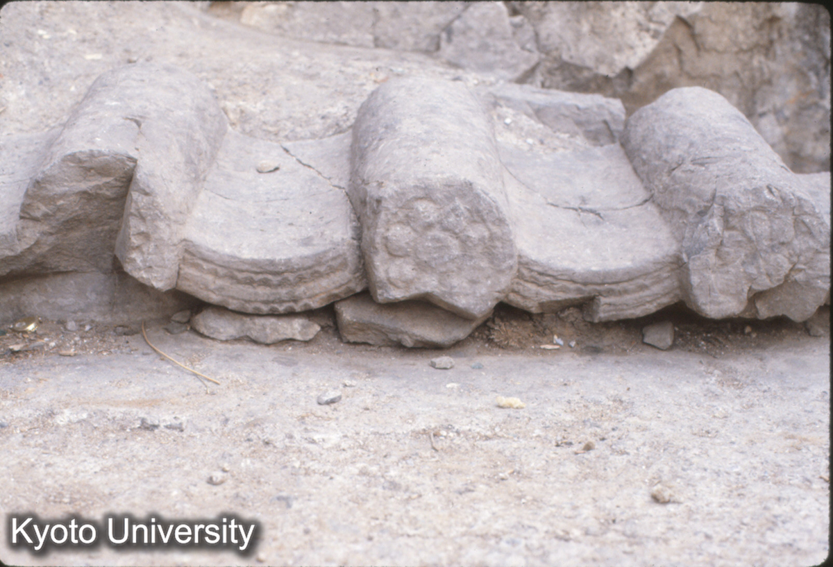 497_北響堂山南窟 上層 北斉当初の軒平・丸瓦 (1)