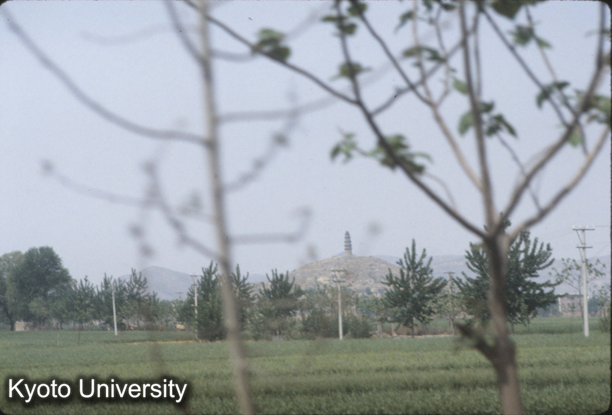 519_宋代古塔 武安→磁山への道路の鉄道踏切をわたってすぐ西側の山上にあり (1)