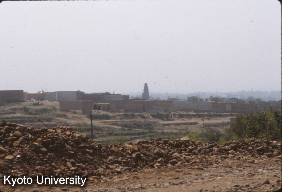 522_武安 舎利塔 宋代13層密檐式磚塔 (1)