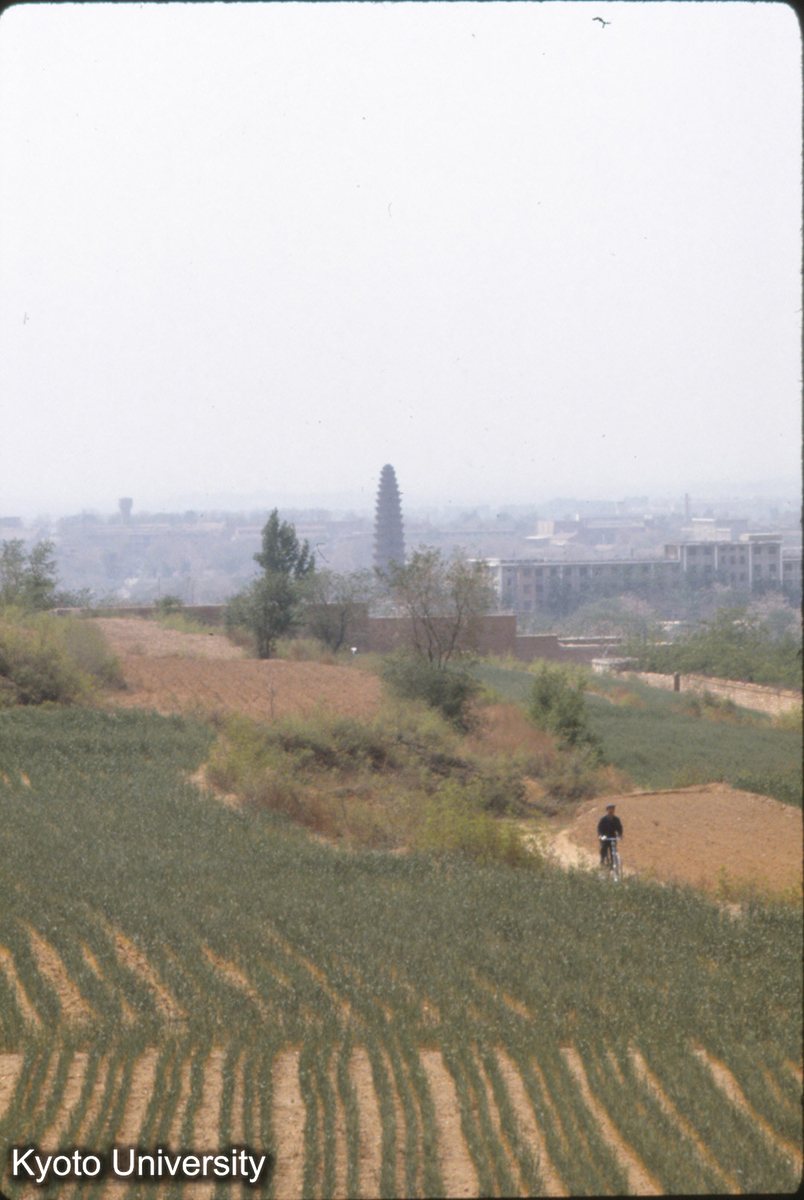 525_武安 舎利塔 宋代13層密檐磚塔_〇 (1)