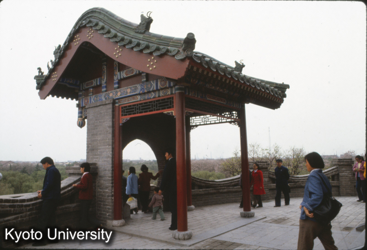 539_武霊 叢台 (1)