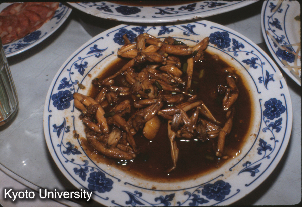 566_邯鄲・万賓楼 青蛙 (1)