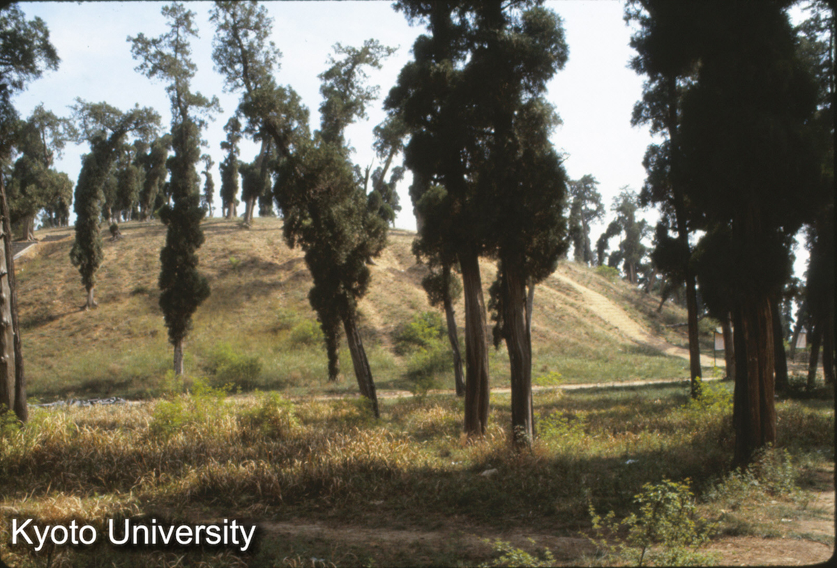 582_（洛陽） 劉秀墳（光武帝陵） 周囲480m直径150m（歩測） (1)