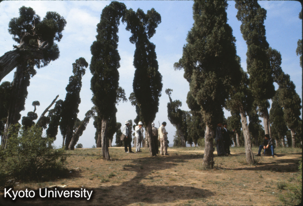 587_劉秀墳 墳上 (1)