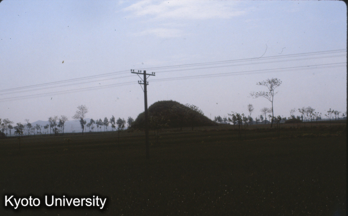 591_洛陽 漢墓 (1)