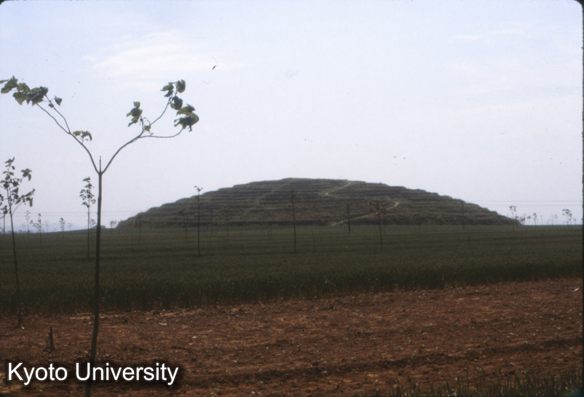 594_東漢和帝陵 (1)