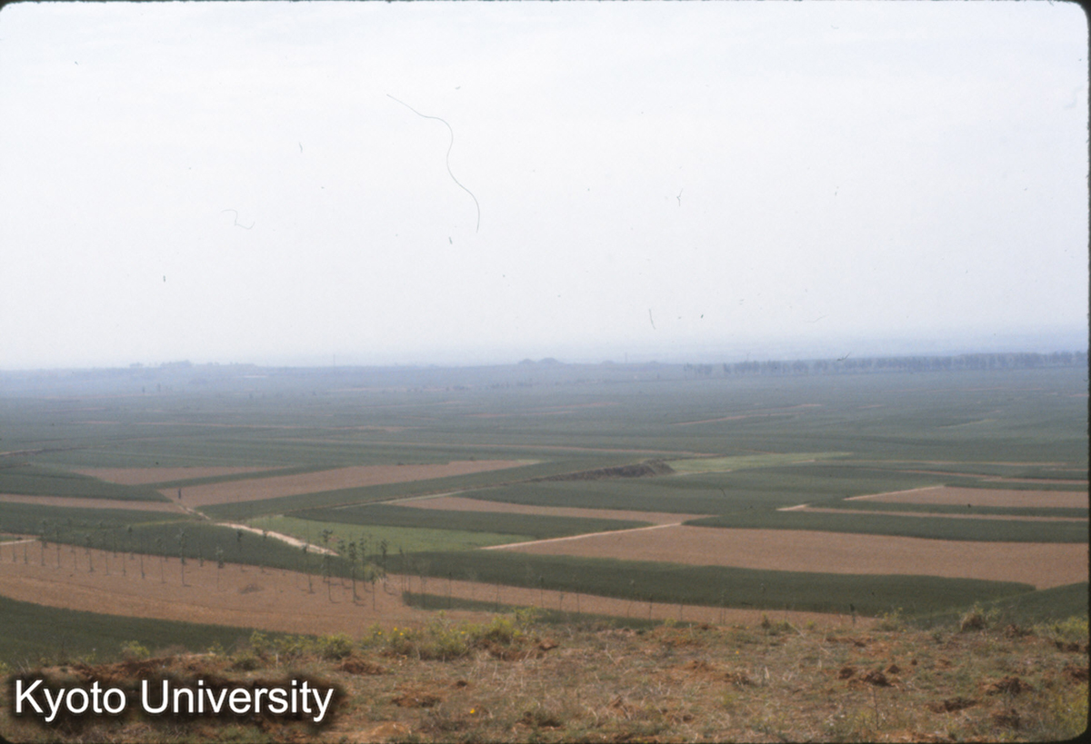 597_漢魏洛陽城址 （和帝陵より東南を遠望） (1)
