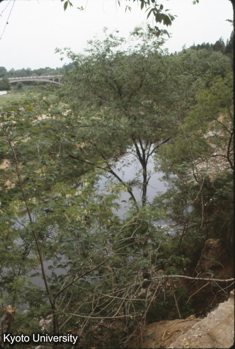602_洛陽 東周城 澗河カーブ地点 (1)
