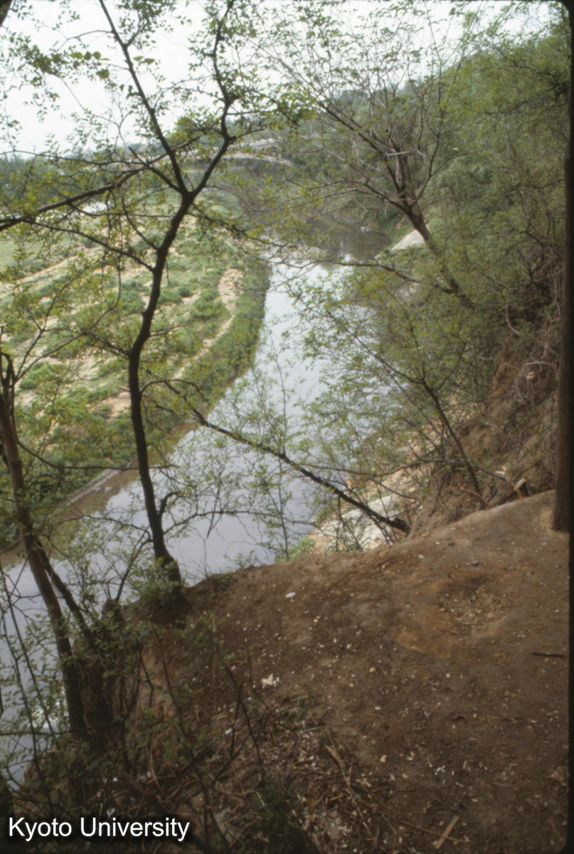 606_東周洛陽城 西北 澗河カーブするところ 城墻はなし?断崖絶壁 (1)