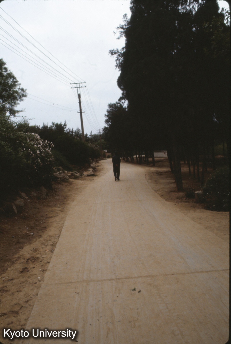 608_東周洛陽城 西墻上にあたる道（王城公園内、澗河西沿い） (1)