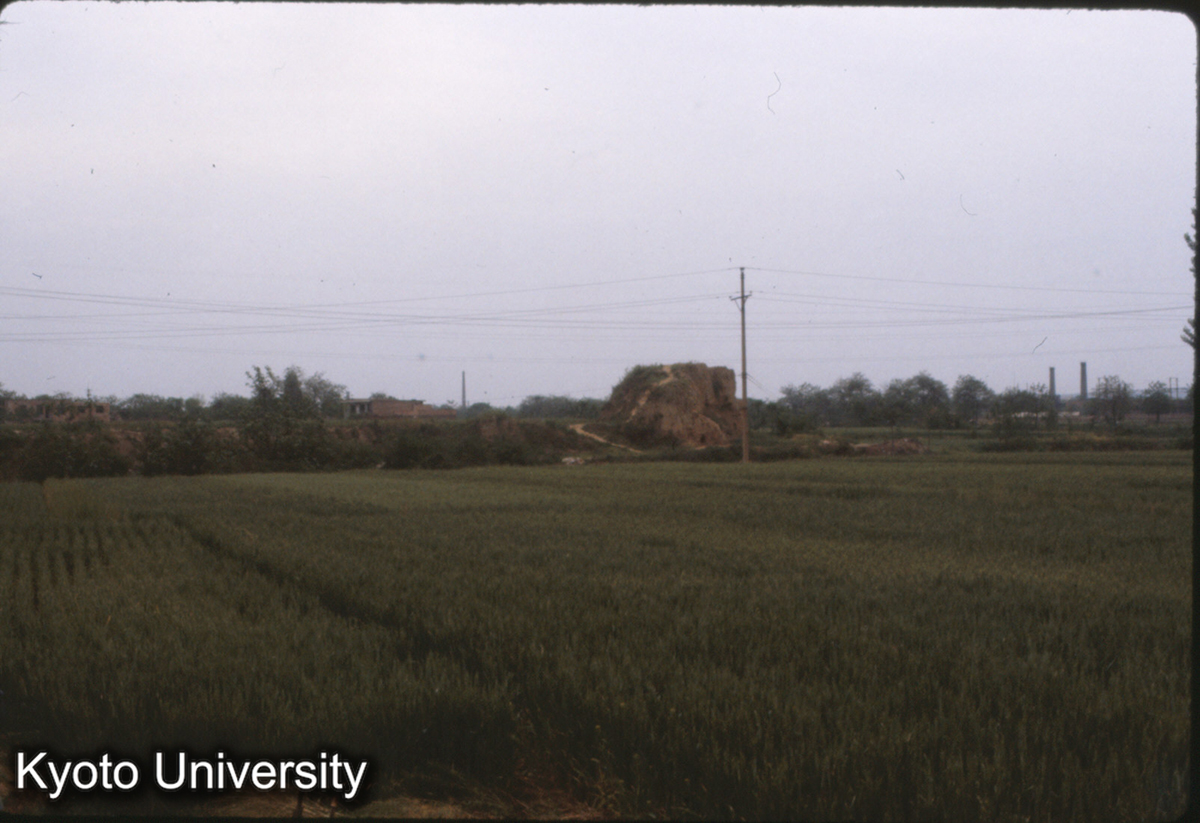 611_東周洛陽城墻西北角 夯土城墻 (1)