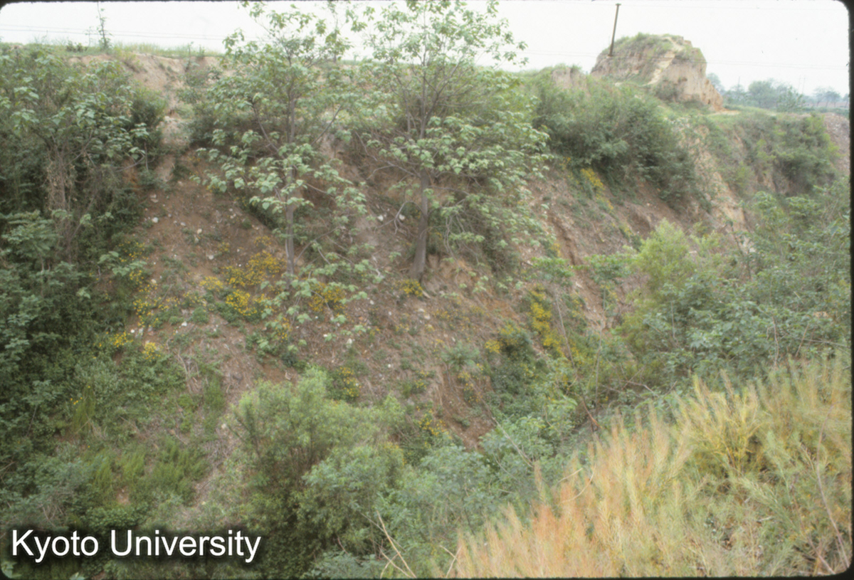 612_東周洛陽城墻 （北墻長2890m） 西北角 (1)