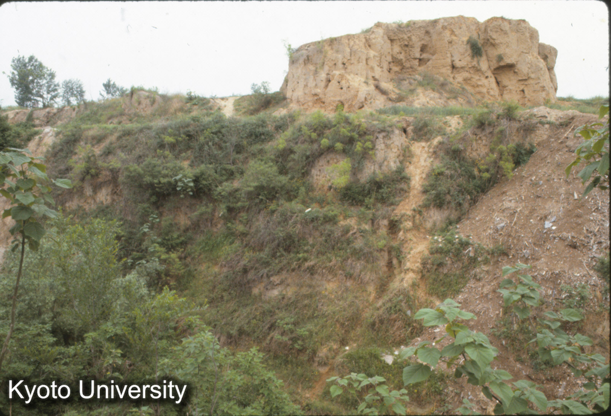 614_東周洛陽城墻西北角 夯土城墻 (1)