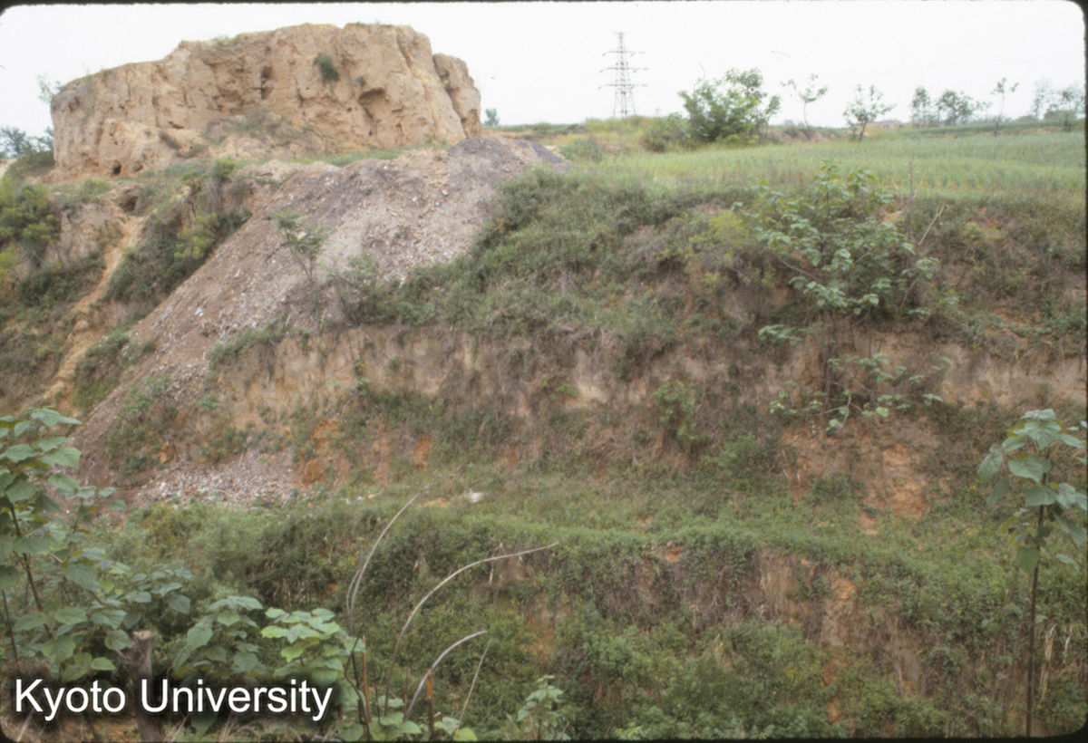 615_洛陽東干溝 東周城墻西北角 夯土城墻 (1)