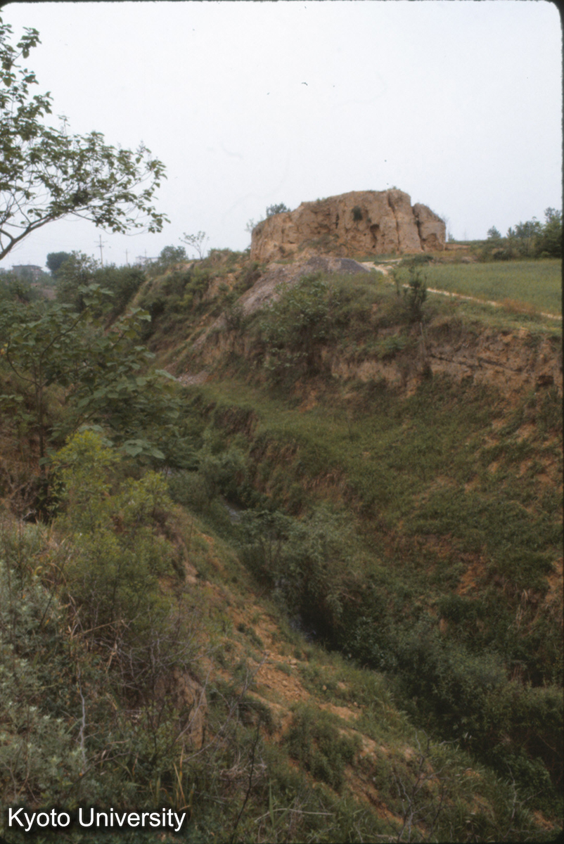 616_東周洛陽城墻西北角 旧城壕（もと空壕、最近排水用水） (1)