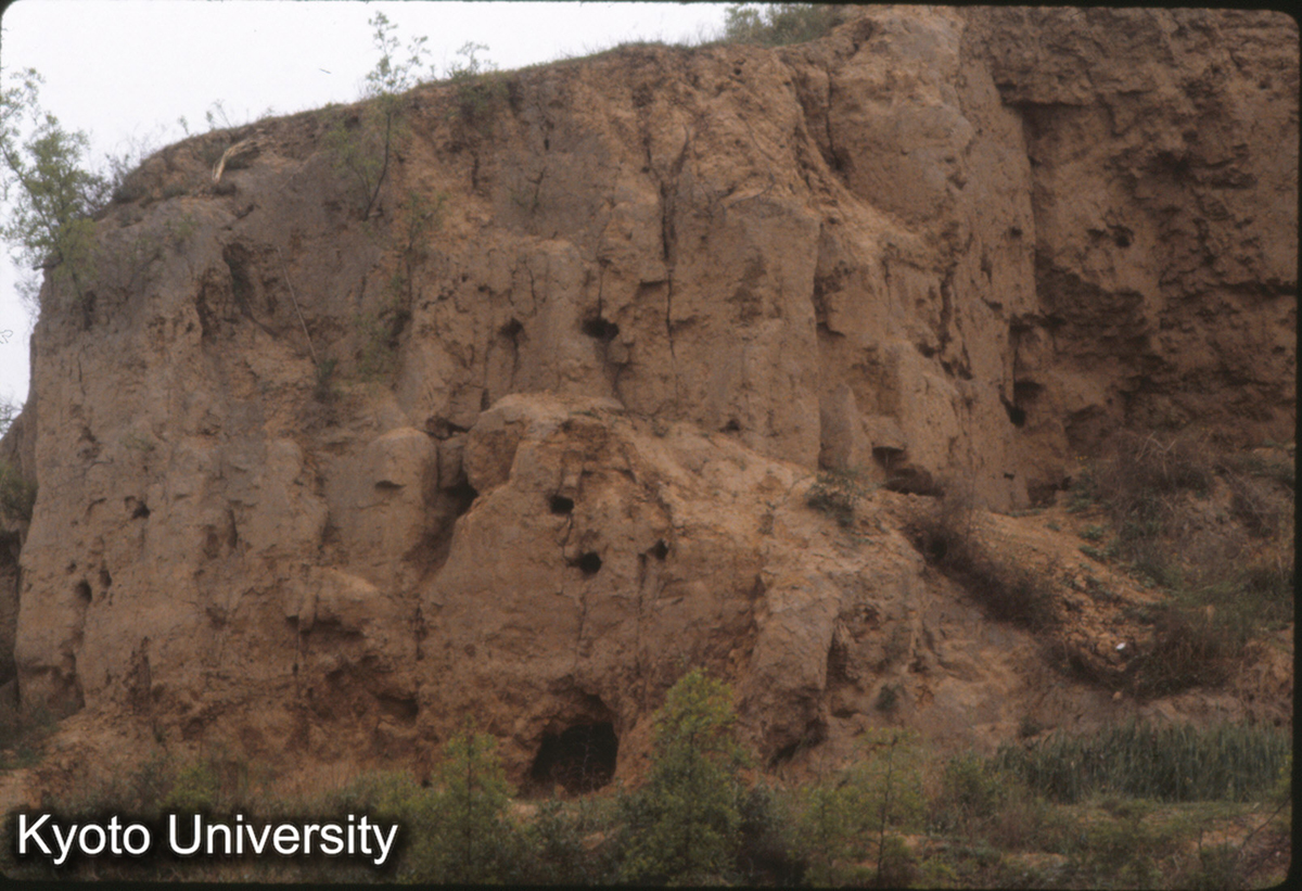 622_洛陽東干溝 東周城墻 西北角 夯土詳細 (1)