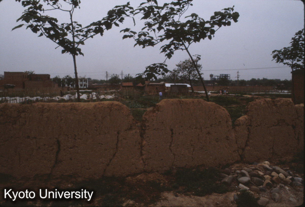 623_洛陽瞿豪屯・東周城南墻 道路が南墻の上にあたる。北側＝畑＝の宮殿区を望む (1)