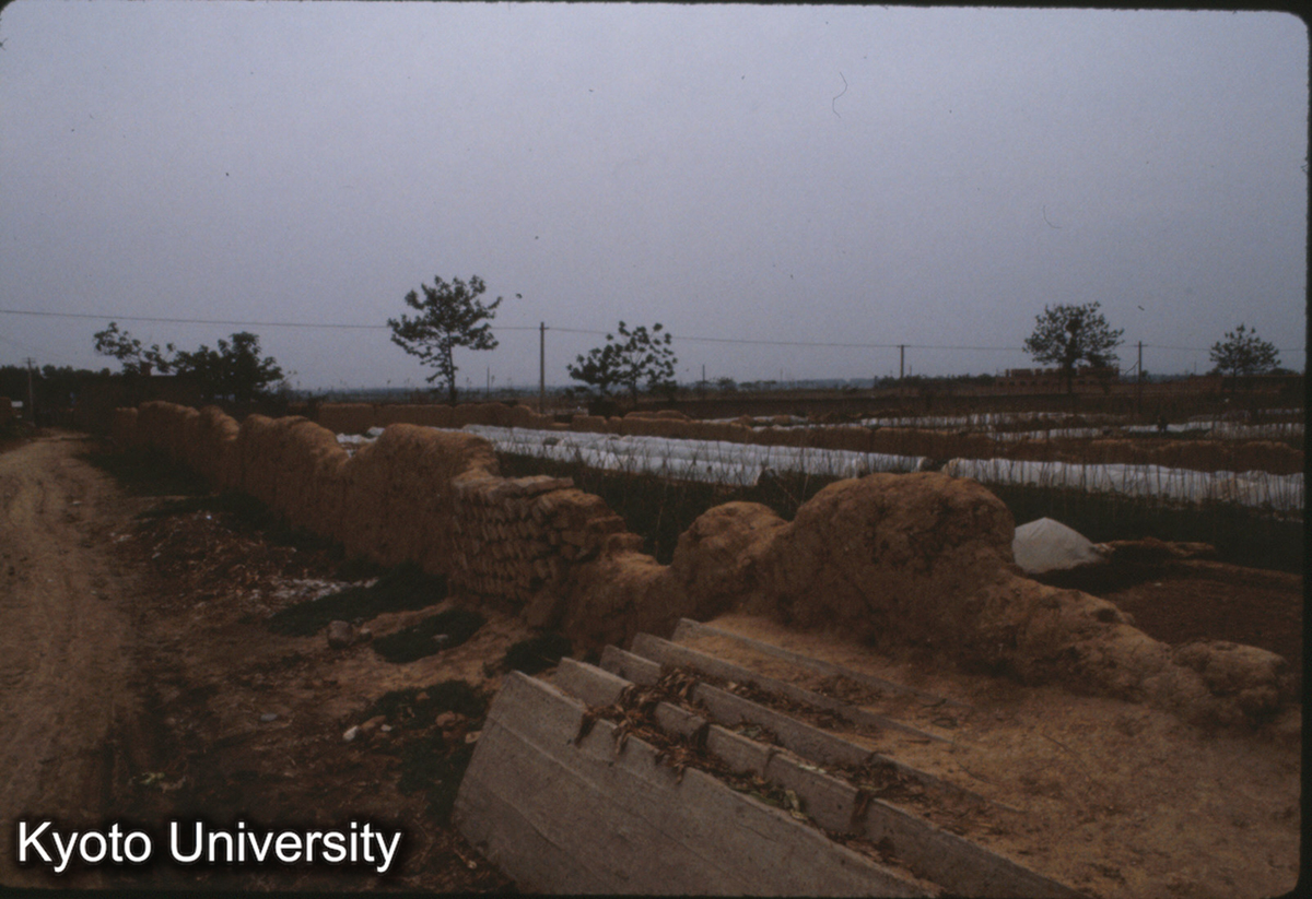 627_洛陽瞿豪屯・東周城南墻 東南側は地形低い。洛水を遠望 (1)