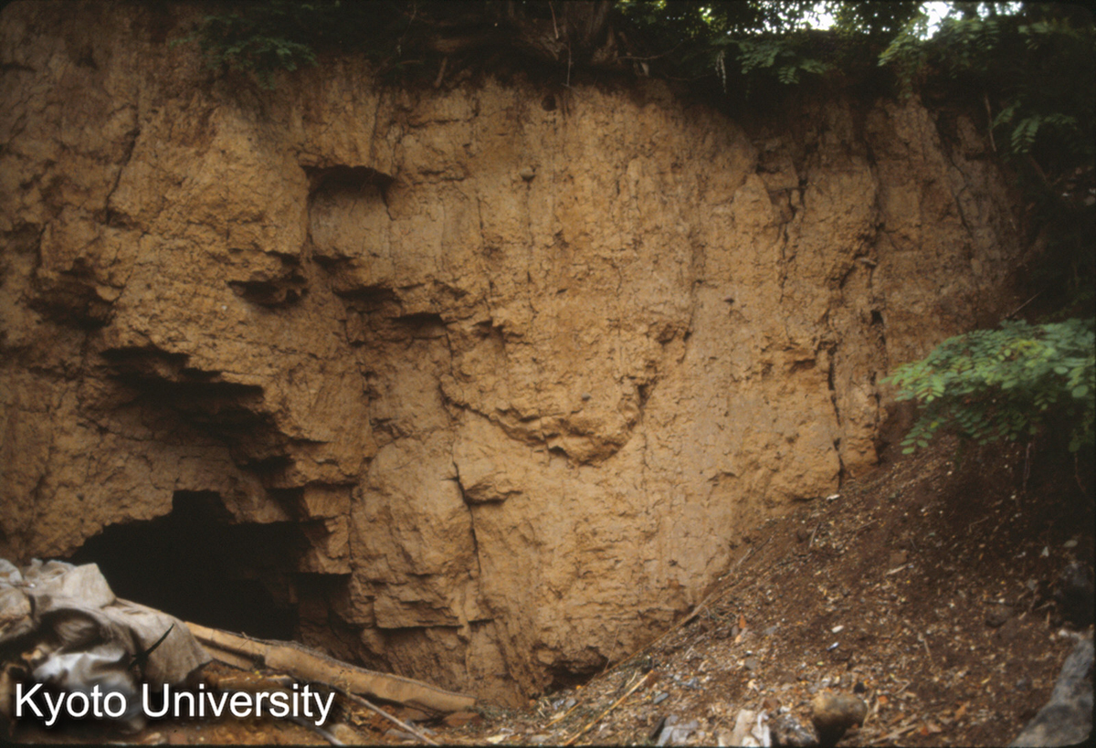 628_洛陽瞿豪屯・東周城墻 北面 （当初の夯土層のこる） (1)