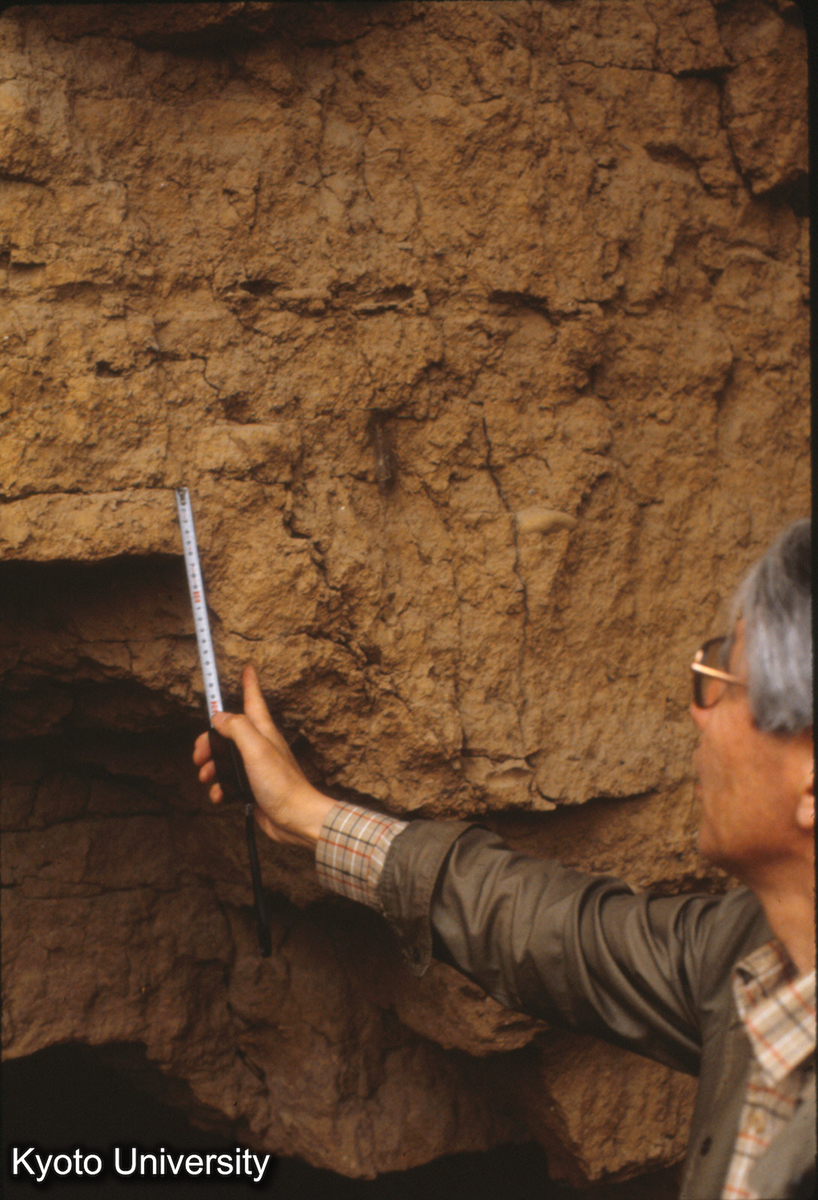 633_洛陽 東周城南墻北面 夯土ア ６～７～８cm (1)