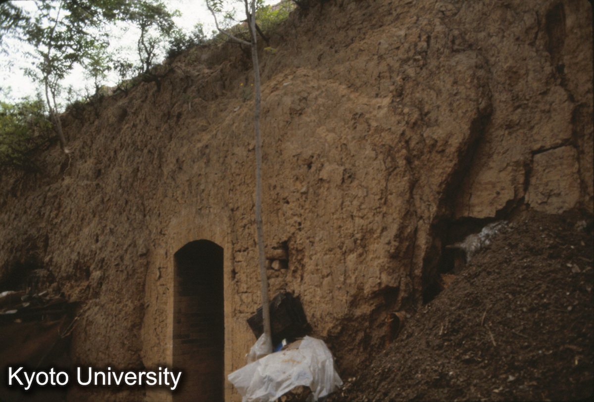 636_洛陽東周城南墻北面 東寄りは窯洞により破壊 (1)