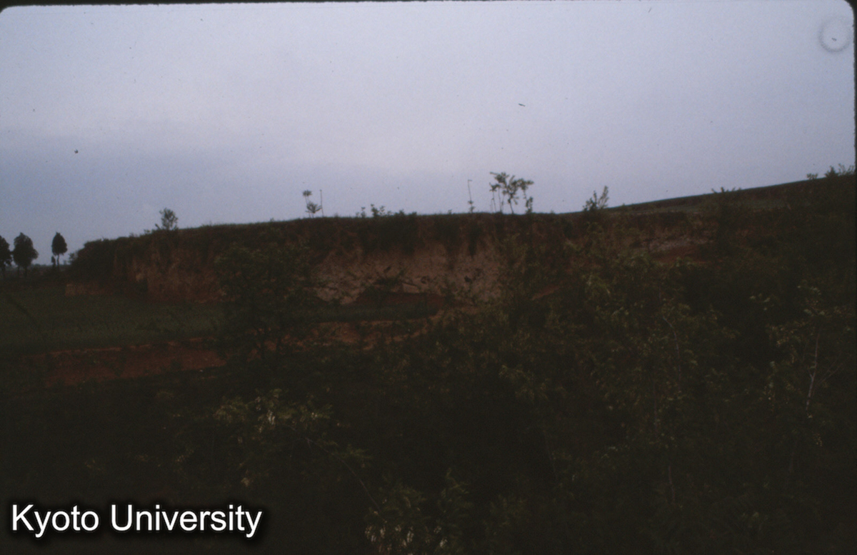 641_澠池仰韶村遺址 (1)