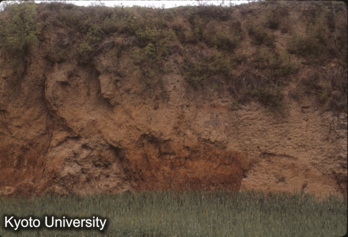 648_仰韶村 土層 (1)