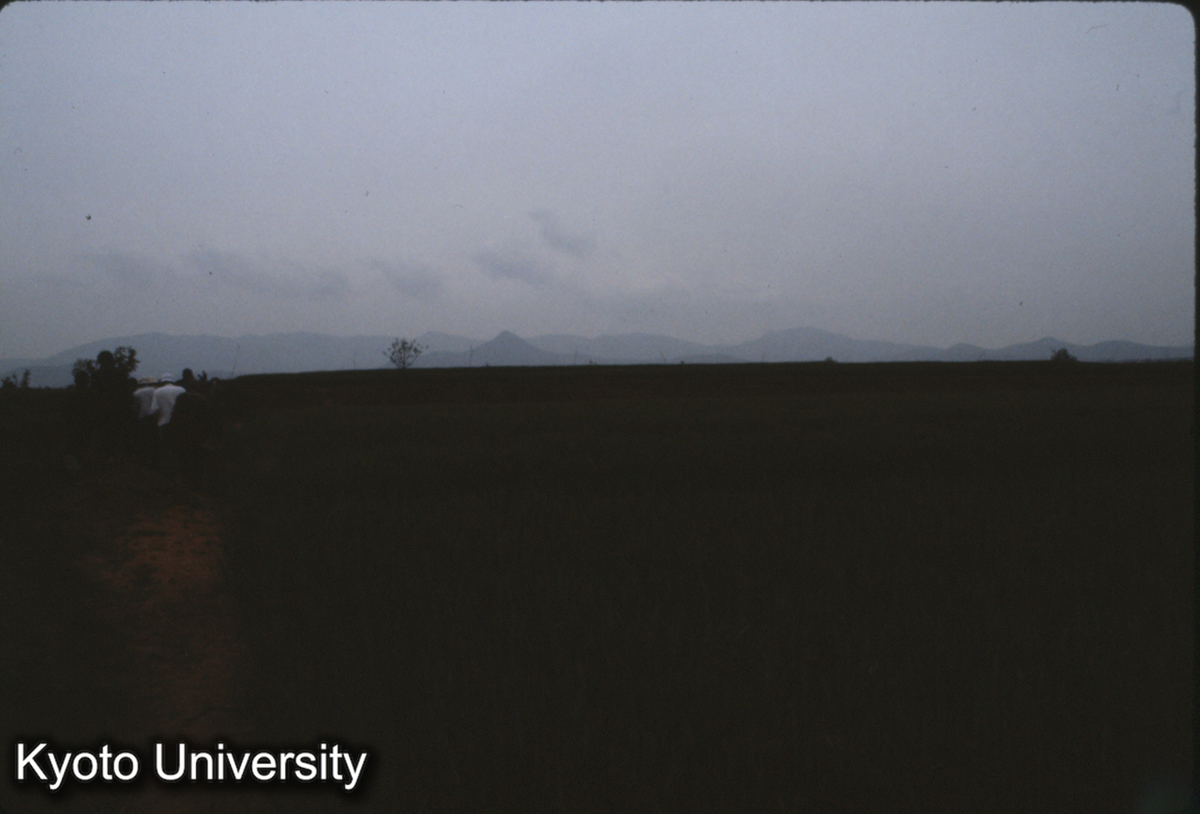 657_仰韶村 畑＝遺址中心区（Anderson 夏鼐発掘） 後ろが韶山 (1)