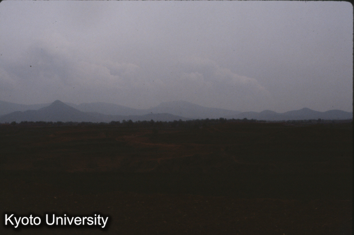 661_仰韶村遺址 うしろが韶山 畑は遺址中心区（アンダーソン、夏鼎） (1)