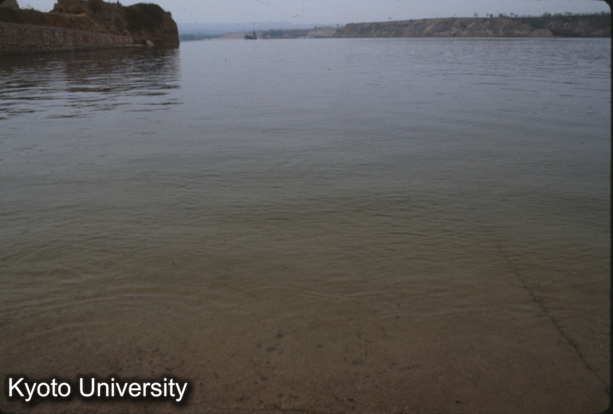 684_三門峡水庫 (1)