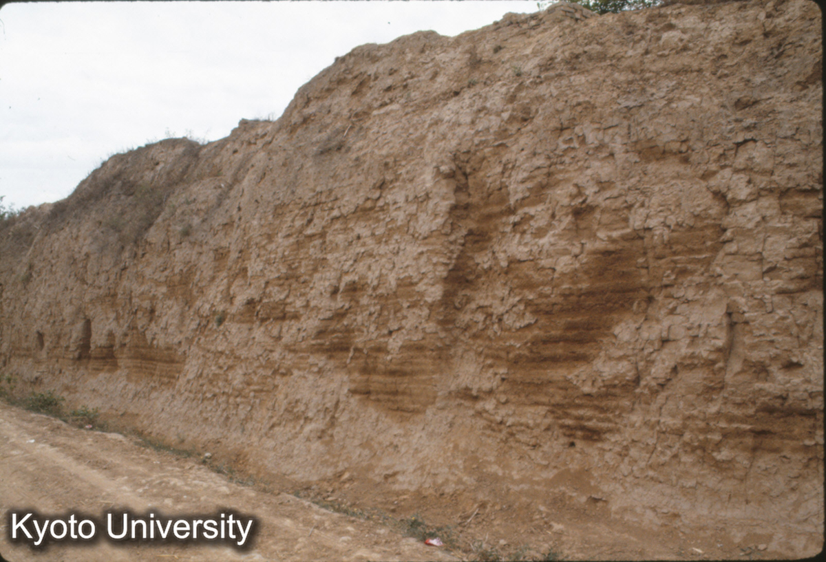 726_夏県禹王城 中城北墻（西北角寄り） (1)