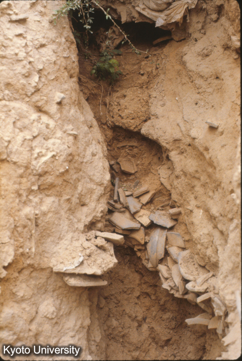 734_夏県禹王城 北墻 窯址 (1)