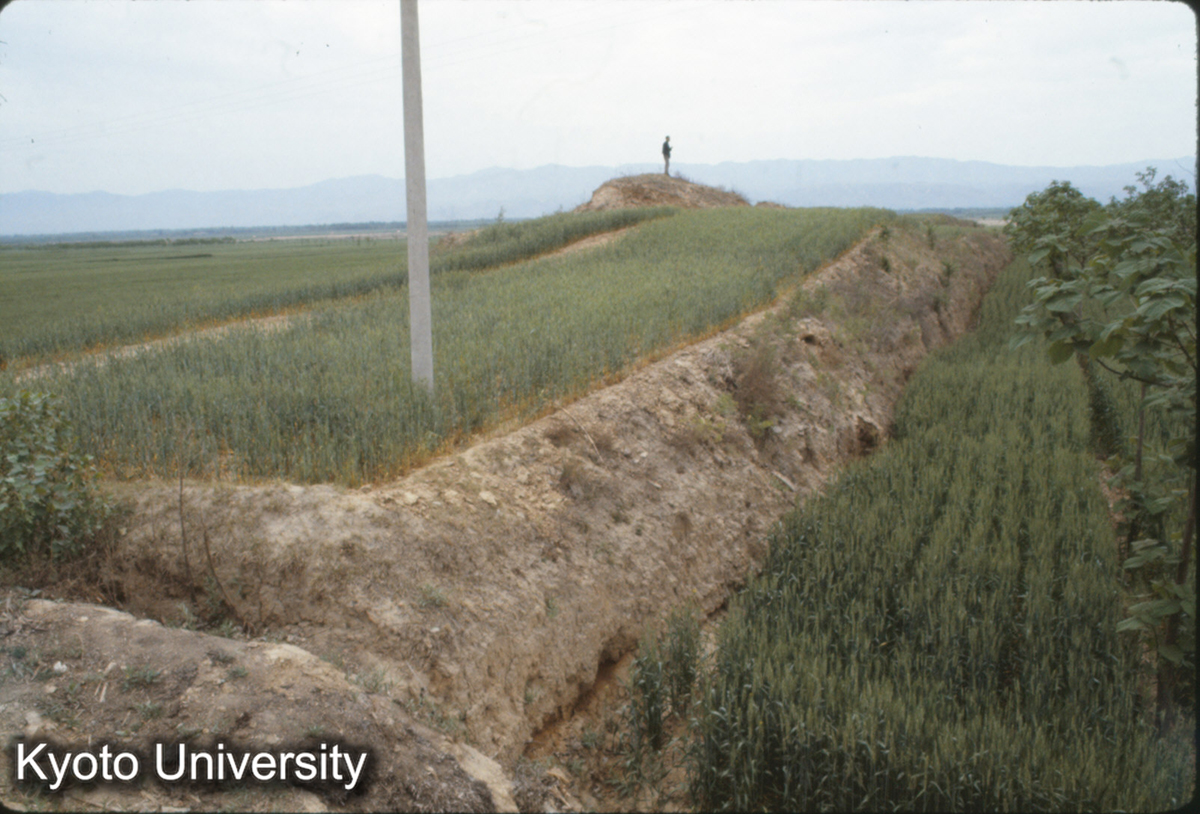 736_夏県禹王城 小・中城北墻 (1)