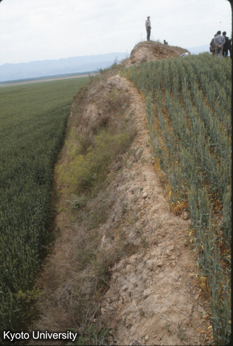 738_夏県禹王城 小・中城北墻 (1)
