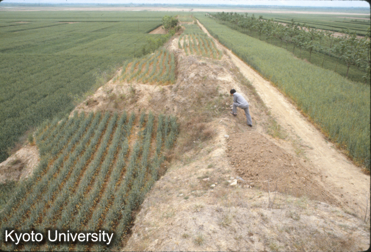 740_夏県禹王城 小・中城北墻より東をみる (1)