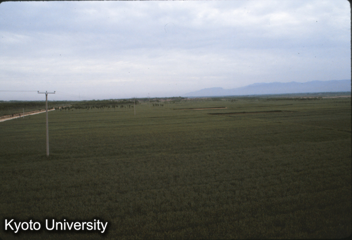 741_禹王城小・中城北墻より東をみる（東は中条山） (1)