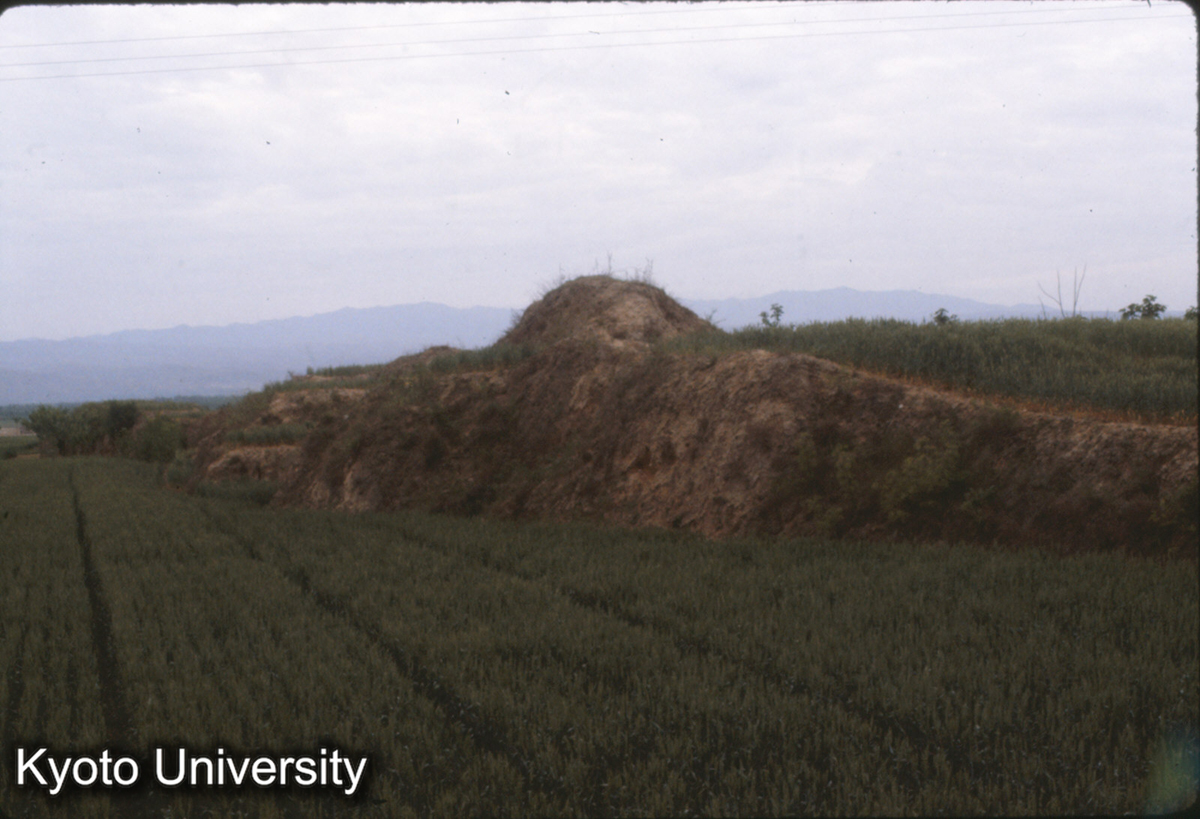 744_禹王城小・中城北墻 (1)