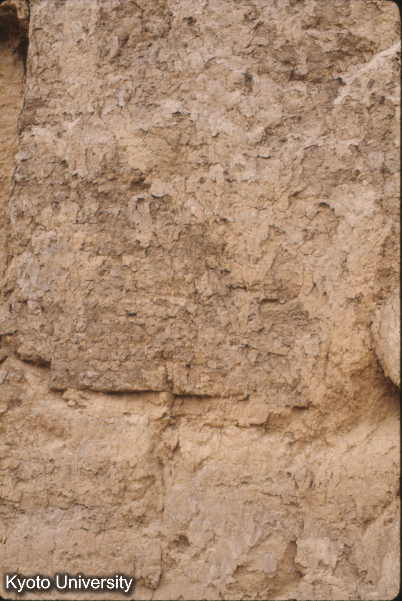 749_禹王廟夯土 詳細 (1)